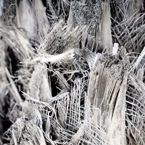 Microscopic view of asbestos fibers.
