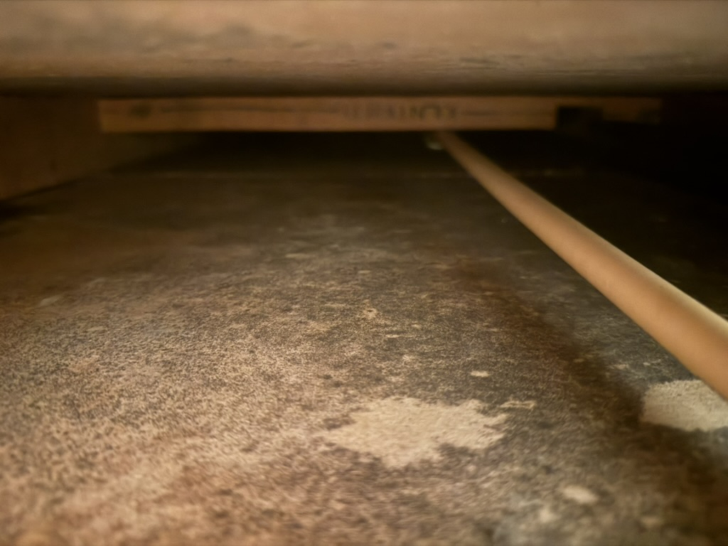Mold growth inside a wall cavity extending vertically toward the ceiling, with a visible pipe running along the interior.