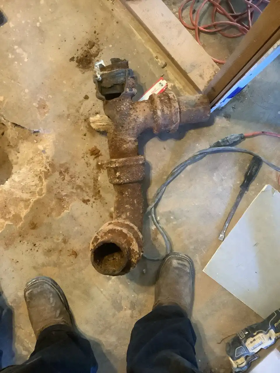 Tree roots growing inside a drain pipe causing blockage — photo courtesy of Trident Plumbing Phoenix