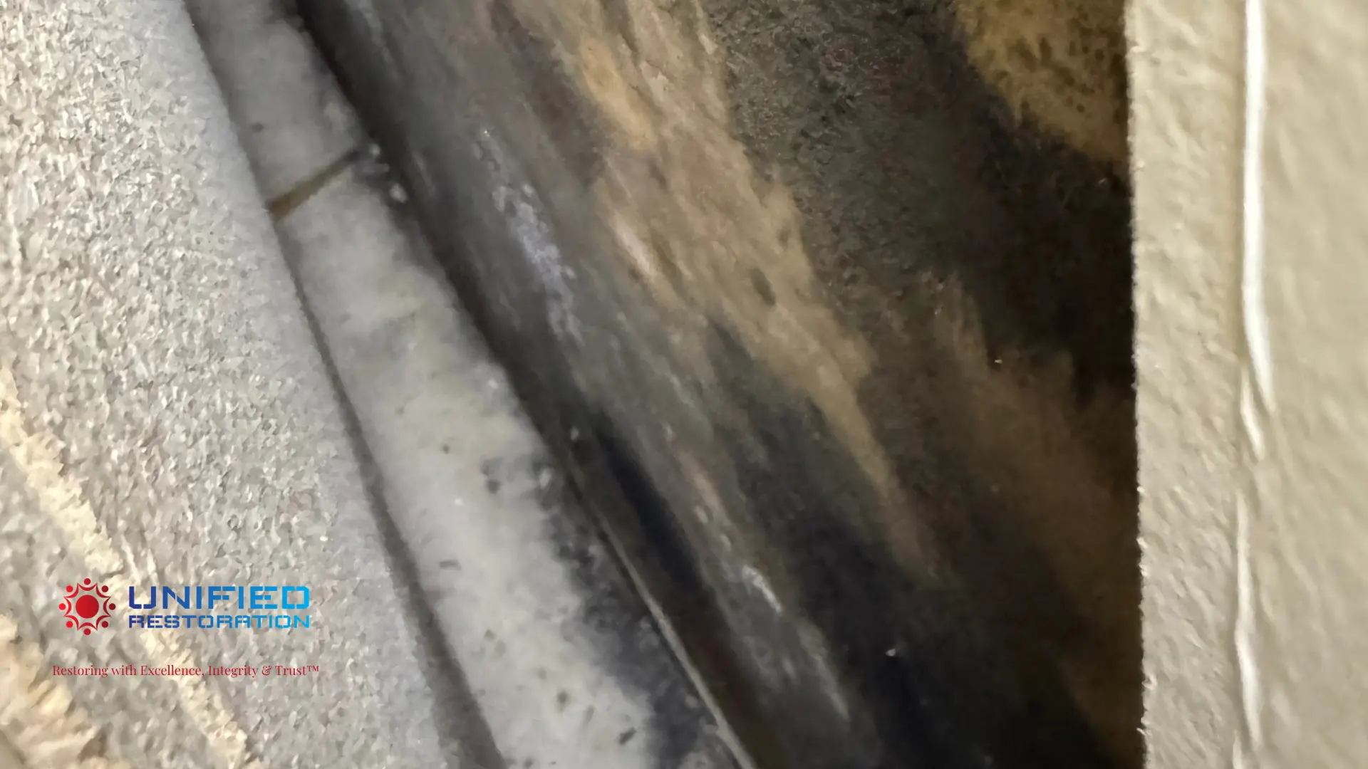 Extreme close-up inside a wall cavity showing extensive black and dark brown mold colonization surrounding a gray plumbing pipe — hidden mold growth caused by a slow pipe leak inside an Arizona home wall, requiring professional mold remediation by Unified Restoration LLC